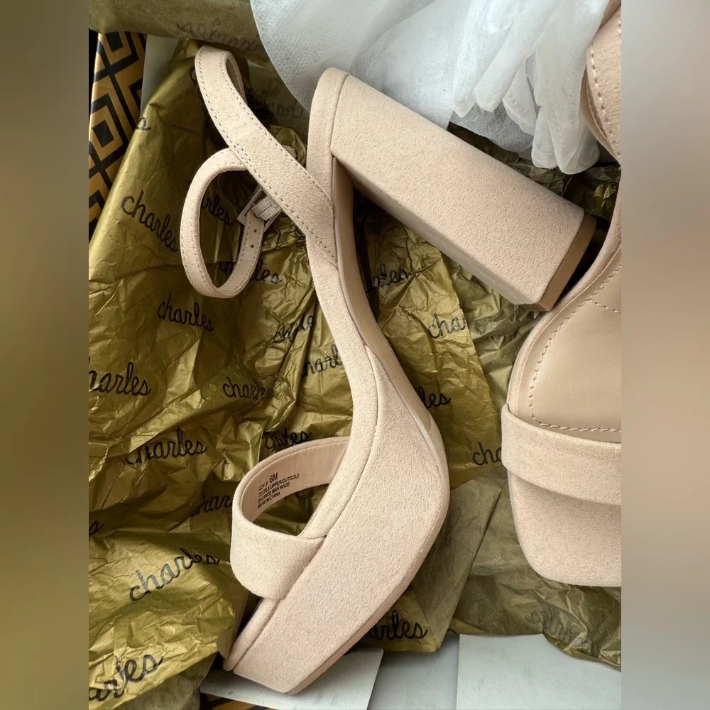 NWT Charles David (Nordstrom and QVC) Nude IZZY Block Heel Strappy Sandal, 6M